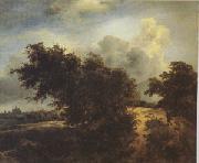 Jacob van Ruisdael The Bush (mk05) china oil painting artist